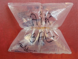 Airbag